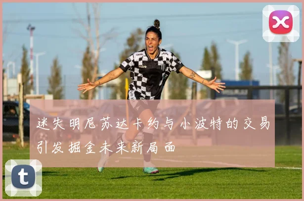 迷失明尼苏达卡约与小波特的交易引发掘金未来新局面