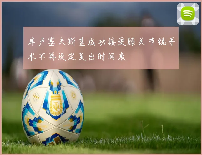 库卢塞夫斯基成功接受膝关节镜手术不再设定复出时间表