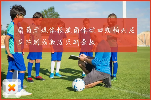葡萄牙媒体报道葡体欲回购帕利尼亚热刺或激活买断条款