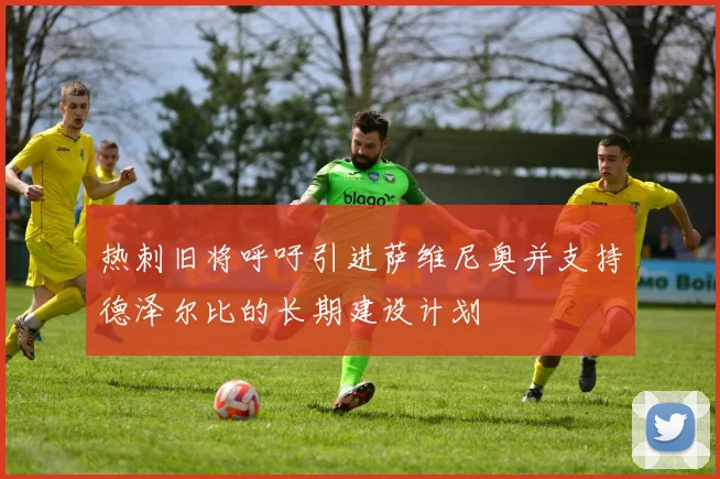 热刺旧将呼吁引进萨维尼奥并支持德泽尔比的长期建设计划